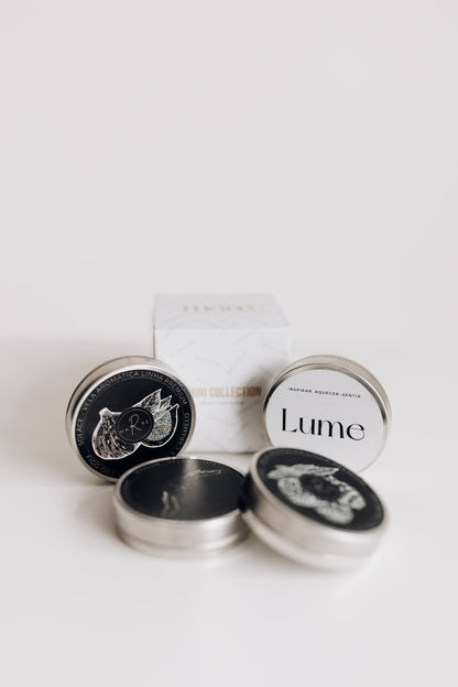 Pocket Linha Premium Mini Coleção | Marrê